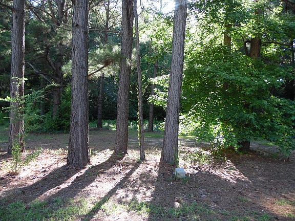 Back yard, large space