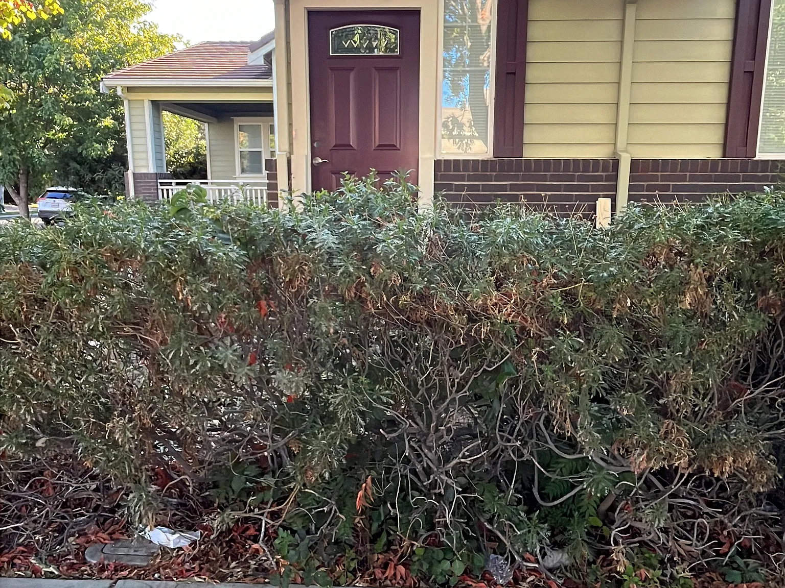 1 bed, 500 sqft, $1,750 — Photo 2