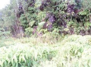S Glenwood Rd LOT 2, Volcano, HI 96785