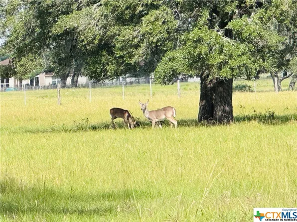 County Road 436, Yoakum, TX 77995