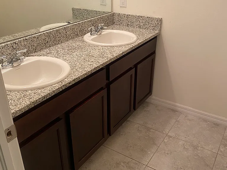 Primary Bathroom Sinks