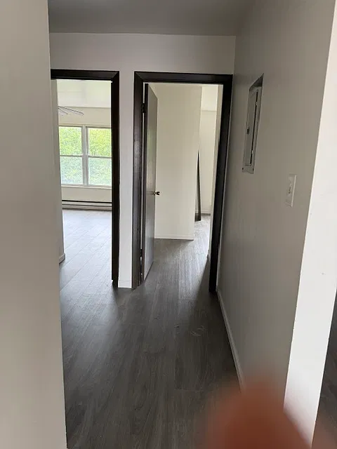 Ivy Lane Apartments — Photo 3