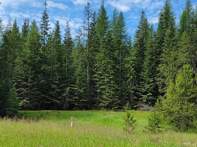 Nna Curley Creek Rd, Moyie Springs, ID, 83845