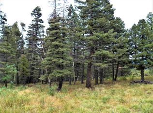 Spanish Peaks Dr W, Aguilar, CO 81020