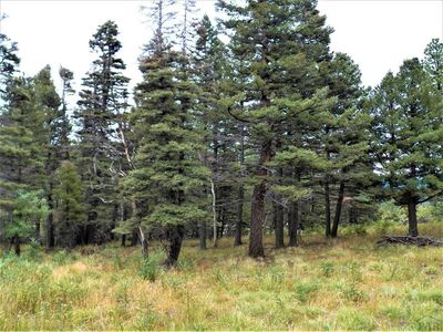 Spanish Peaks Dr W, Aguilar, CO, 81020