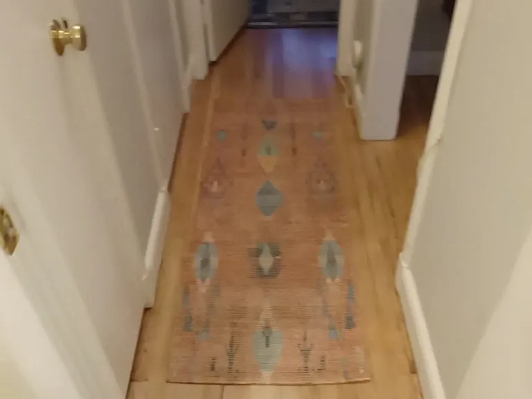 Hallway between bathroom and bedroom.