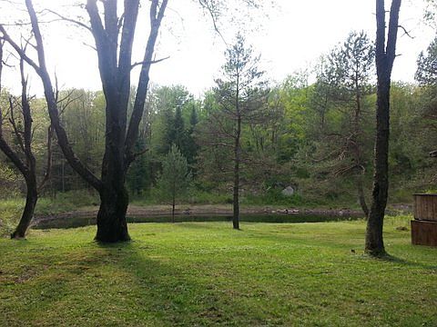 POND & SIDE YARD - NEW CABIN