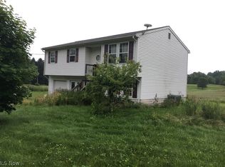 5303 Saint Jacobs Logtown Rd, Leetonia, OH 44431