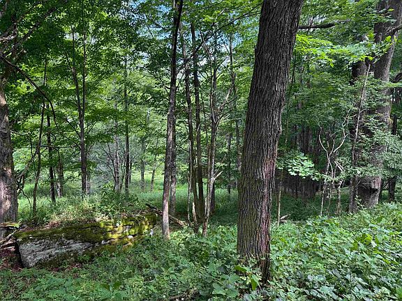 3rd image of 36-38 49 Hawthorne Valley Dr