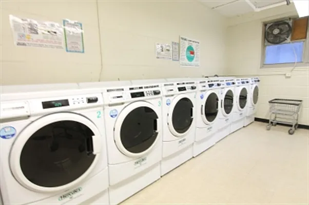 Rented by Citi Habitats | media 4