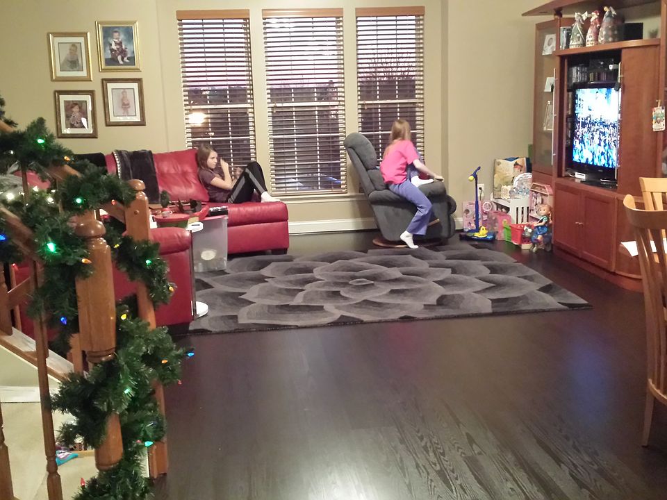 standing in dining room looking into living room