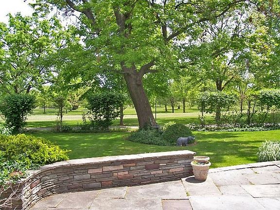 Backyard from Patio