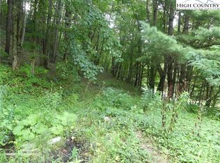 200 Pottertown Rd, Todd, NC 28684