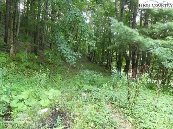 200 Pottertown Road, Todd, NC 28684