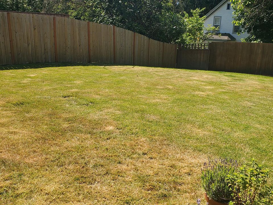 Back yard.