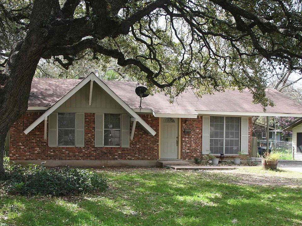 Grand Shade Tree
