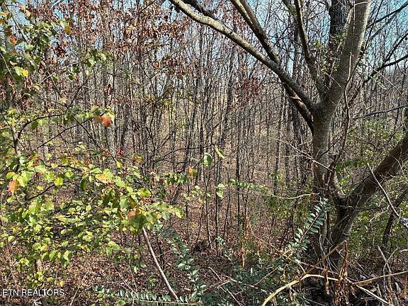 3rd image of 0 Poplar Ave Lot 31