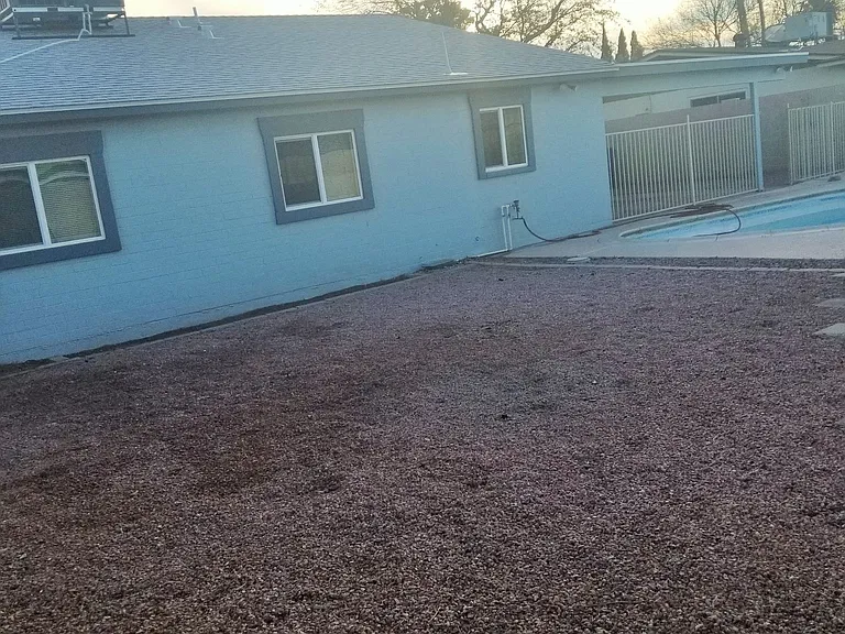 back yard view