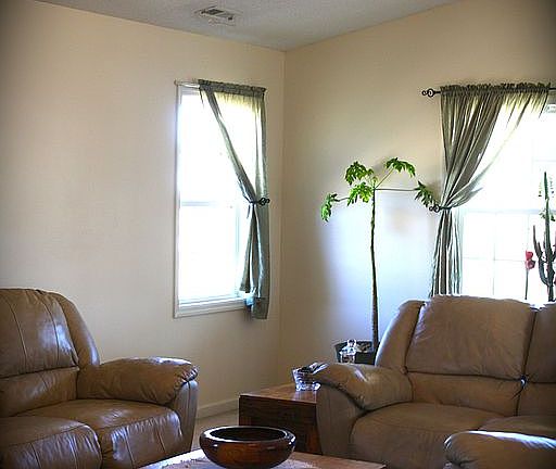 Living Room Ceiling Fan