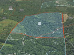 4243 E Branch Rd, Punxsutawney, PA 15767