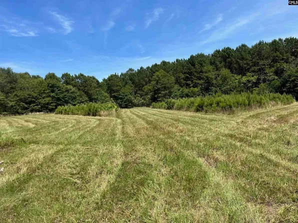 545 Basil Rd, Swansea, SC 29160