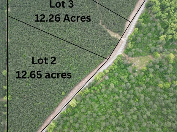 PARCEL 4 Highway 172, Wilmar, AR 71675