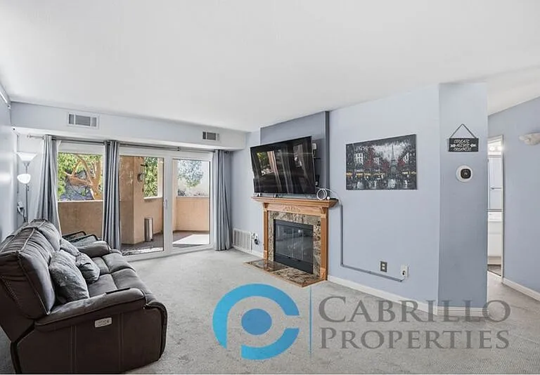 11115 Affinity Ct #3 — Photo 10