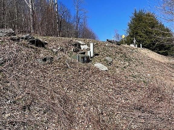 5th image of TBD Nettles Ridge #31