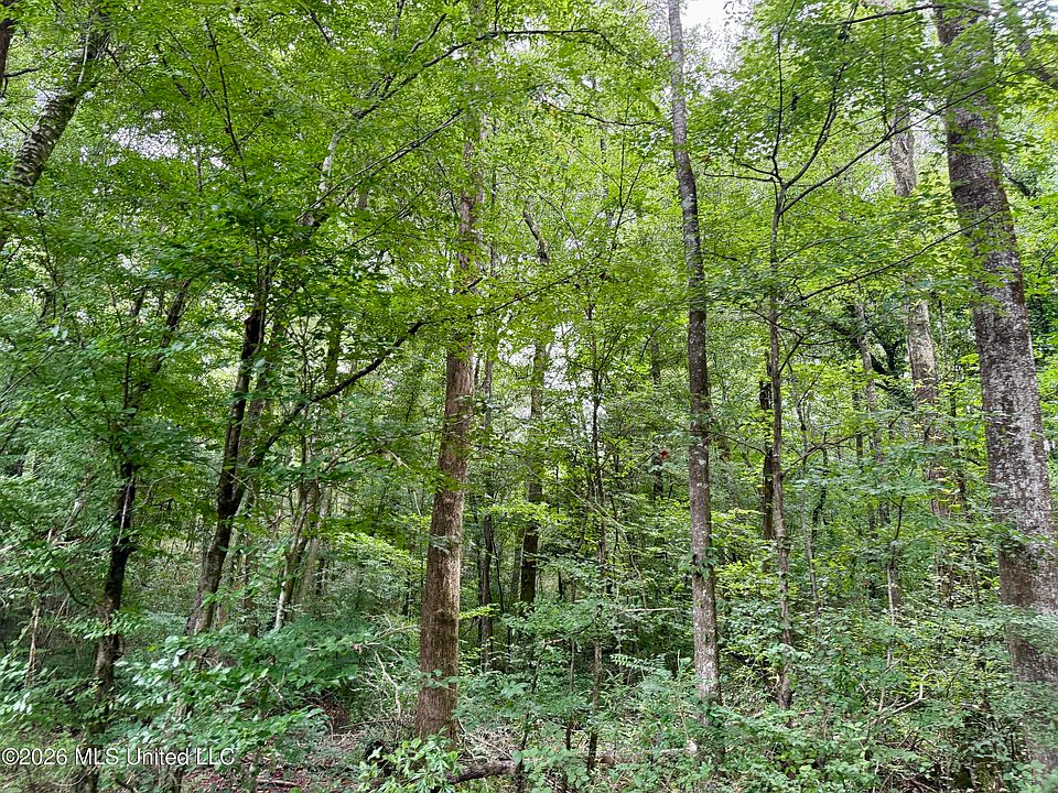 1st image of 2194 State Highway 570