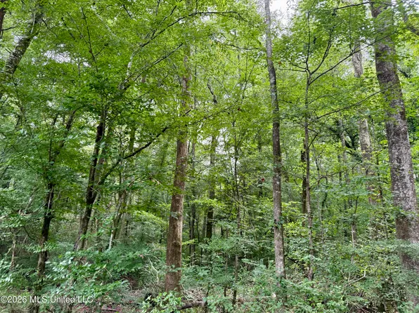 2194 State Highway 570, Summit, MS 39666