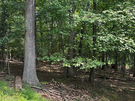 5th image of 1832 Ridge Rd