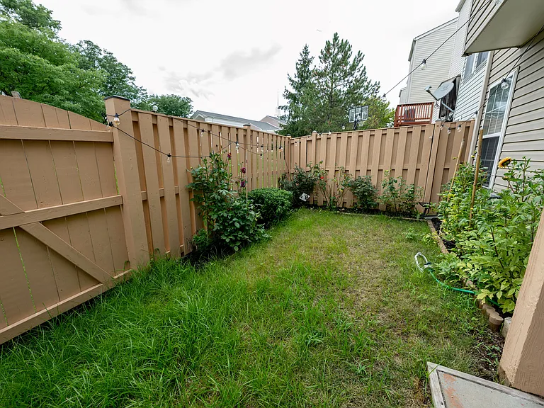Back yard