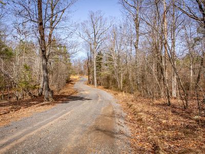 240 Hipp Ln, Dennard, AR, 72629