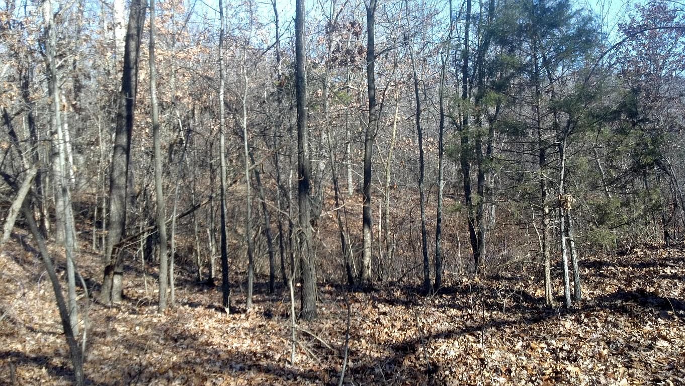 489 McVey Dr, Chadwick, MO 65629 Zillow