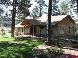 1055 Long Hollow Cir, Durango, CO 81301