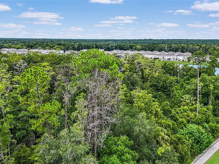5012 Blue Hammock Ct — Photo 31