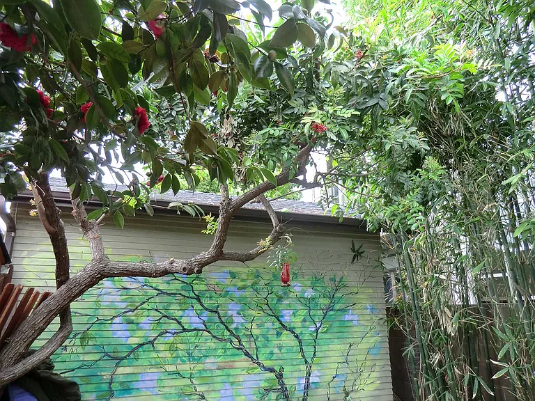 enclosed private yard paini
