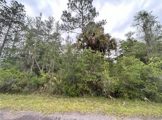 9112 N Black Oak Way, Crystal River, FL 34428