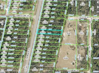 8086 Treiman Blvd LOT 56, Webster, FL 33597