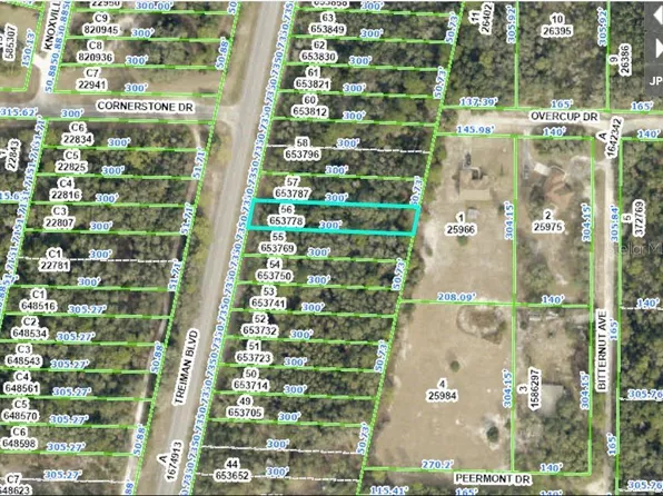8086 Treiman Blvd Lot 56, Webster, FL 33597