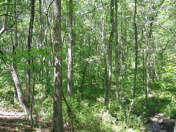 3rd image of 13 Brushy Creek Ln