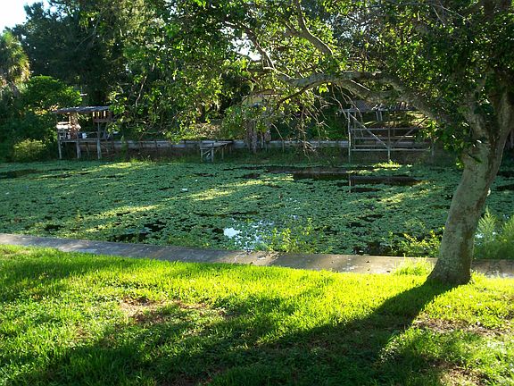 Canal