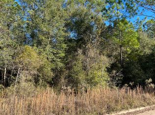 0 198th St, Wellborn, FL 32094