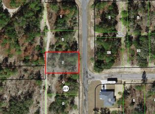 10346 N Spaulding Dr LOT 3, Dunnellon, FL 34433