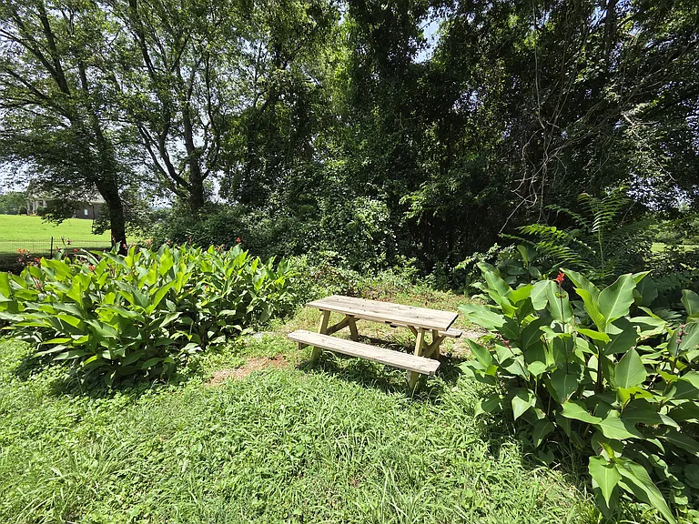 picnic table area