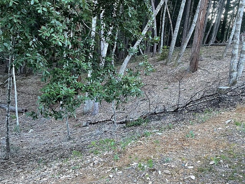 2nd image of 27715 Fox Rd