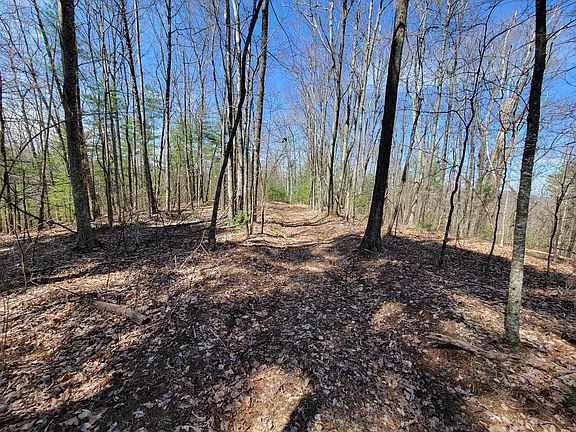 3rd image of Tuckahoe Rd