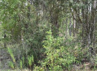 LOT 16 SW White Sands Rd LOT 16, Dunnellon, FL 34431