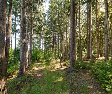 0 Bailey Hill Rd, Ulysses, PA, 16948