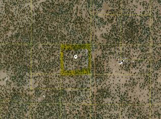 3 NE Four Nw 4 Sw4 Sec 3, Concho, AZ 85924